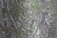 Linkinhorne fibreglass roof work